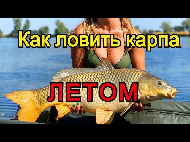 Как ловить карпа летом? Секреты ловли карпа летом! Лайфхаки для новичков!