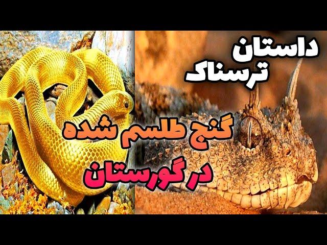 داستان ترسناک گنج طلسم شده در گورستان  داستان های ترسناک و ماورایی جن