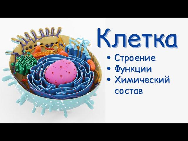 КЛЕТКА | Строение, Функции и Химический состав | Эукариот и Прокариот