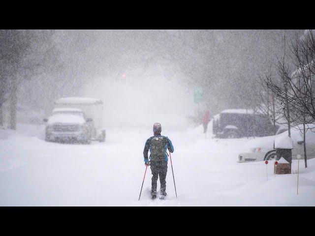 Record snowfall as Ottawa sees close to 50 cm during major blizzard