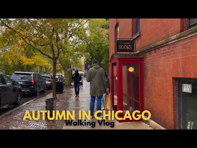 Autumn Walk in Chicago | Hyde Park Neighborhood Fall Walk | Vlogtober 2024 | Chicago Rain Walk Video