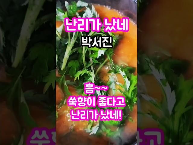 #난리가났네#박서진#쑥국#현역가왕#살림남