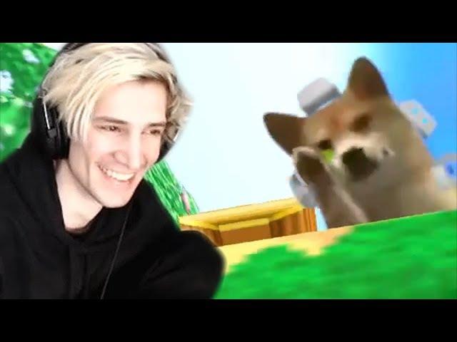 xQc Reacts to UNUSUAL MEMES COMPILATION V72 | xQcOW