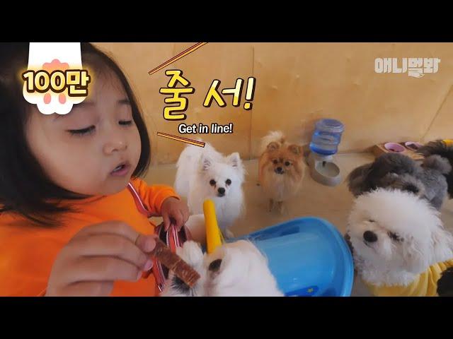 5-year-old Baby Is A Pet Sitter?!  (Baby Pet Sitter EP1)