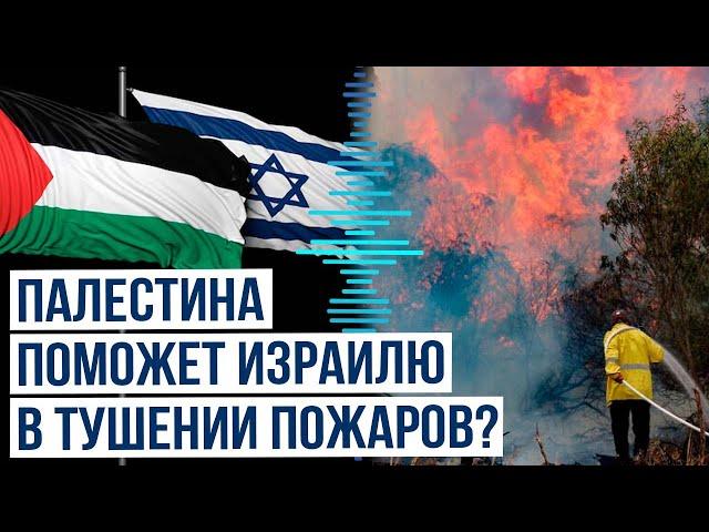 Израильские СМИ о помощи Палестины в тушении лесных пожаров в Израиле
