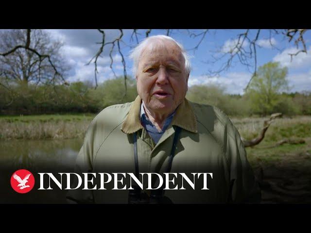 Sir David Attenborough warns of ‘crippling’ climate crisis