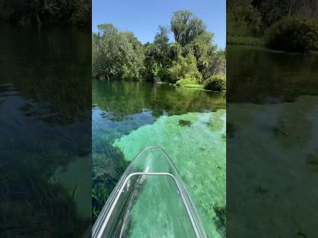 Enjoying our favorite spring in Florida  #getupandgokayaking #visitflorida #springs #visitflorida