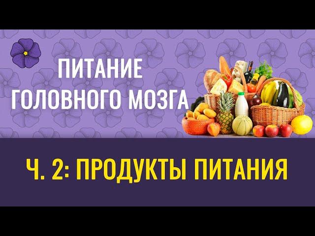 Питание головного мозга, ч.2 – продукты питания