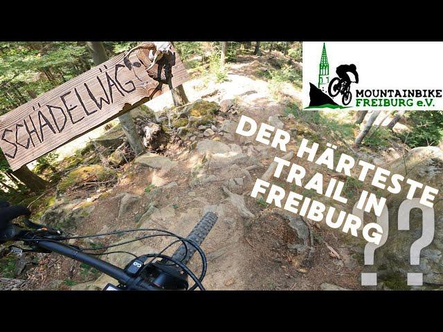 Mega Enduro Trail in Freiburg-Oberried | Schädelwäg | MTB Freiburg e.V. | 2023