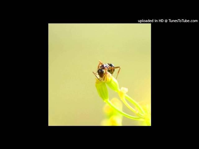 Une maison écolo et sans insectes