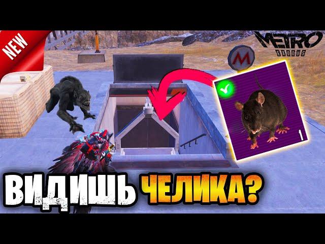  САМАЯ КРЫСИНАЯ НЫЧКА НА 7 КАРТЕ В МЕТРО РОЯЛЬ | METRO ROYALE