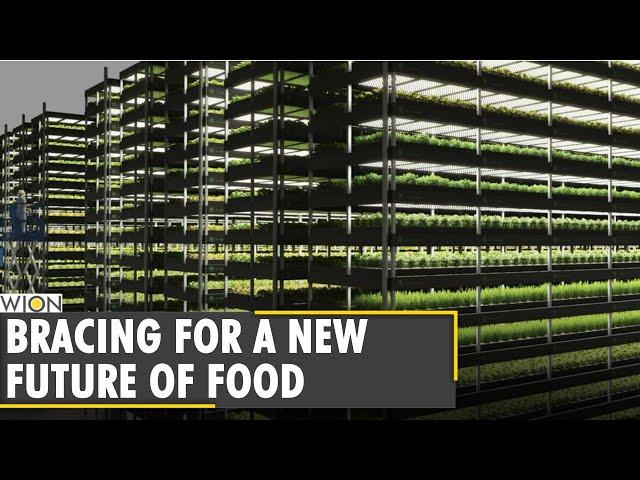 Your Story: Danish startup unveils giant vertical farm | Denmark | World News