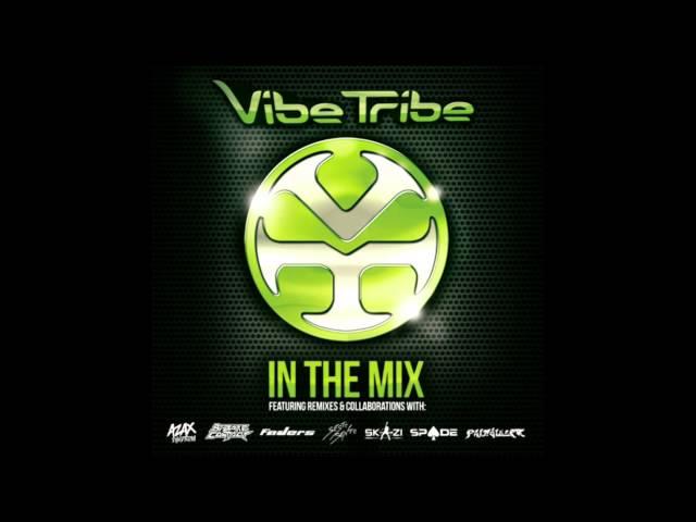 Vibe Tribe - In The Mix Vol.1