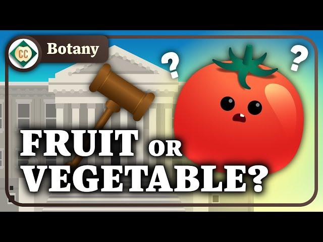 What Are Plants Made Of? Crash Course Botany #2