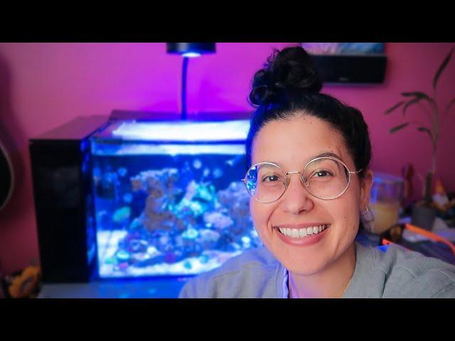 Finally Testing My Reef Tank Levels (vlogmas)