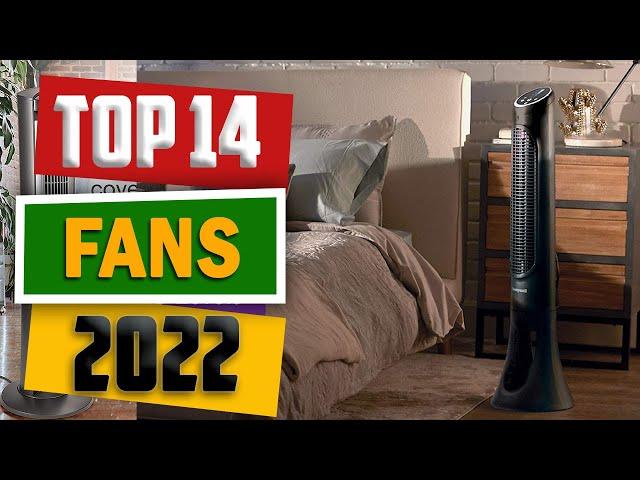 Best Fans in 2022 - Fans That Cool Like Air Conditioners