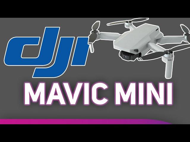 DJI Mavic Mini at Scan Pro Video