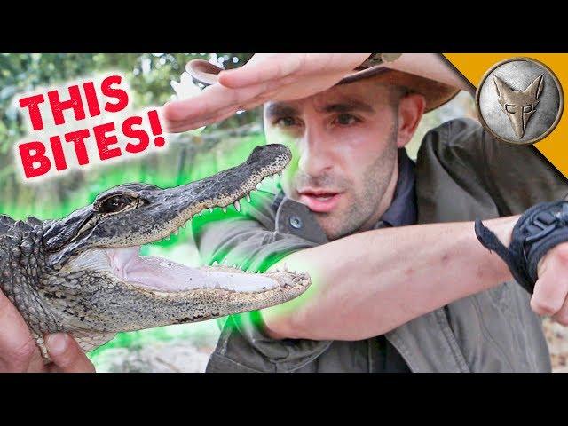 ANIMALS BITE ME...a lot.