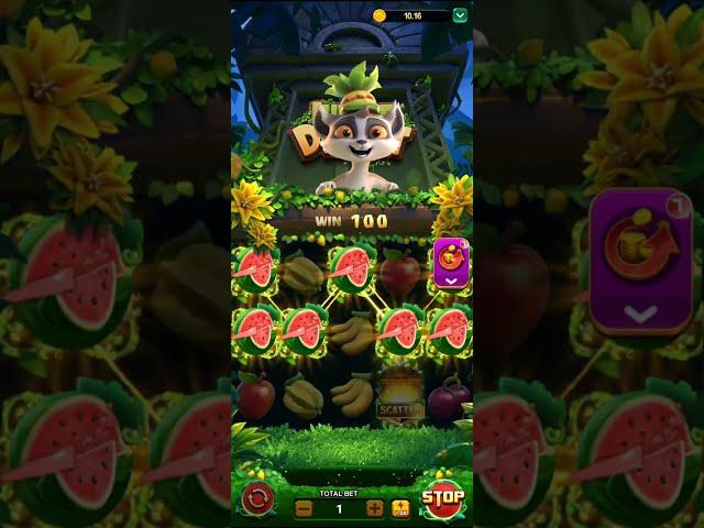 Jungle Delight Games Play Video