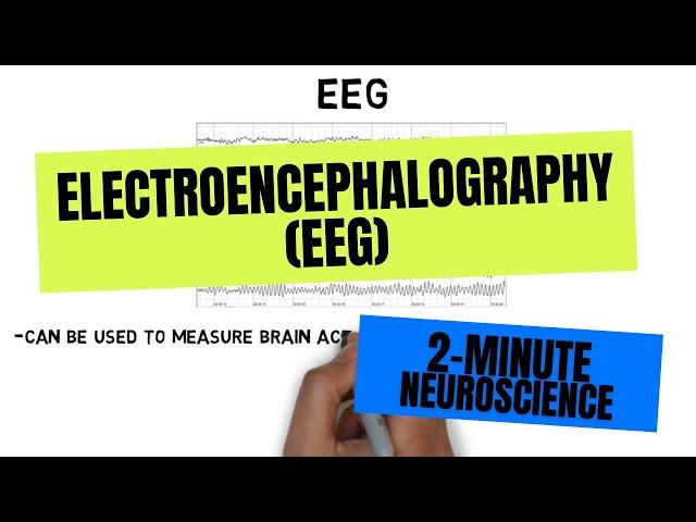 2-Minute Neuroscience: Electroencephalography (EEG)