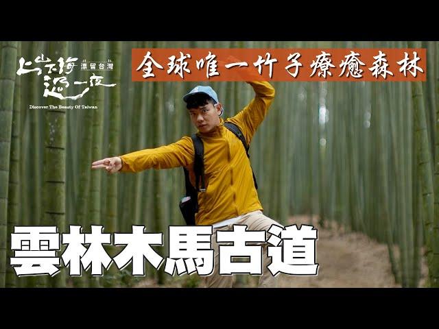 雲林木馬古道 雲嶺之丘 五元兩角步道！全場2.3公里的國際級竹林景觀 夏日推薦的消暑聖地！｜上山下海過一夜 精華