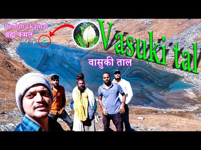 Kedarnath Yatra|Vasuki Tal Trek Route| Untouched Himalayas | Can you believe this is above Kedarnath