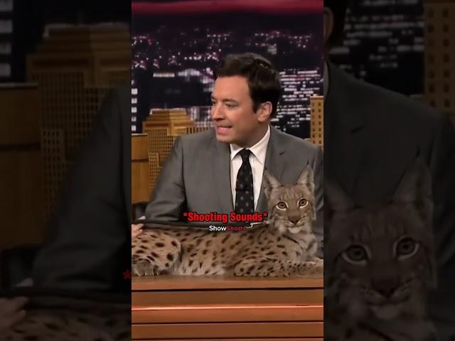 Jimmy Fallon Meets Siberian Lynx