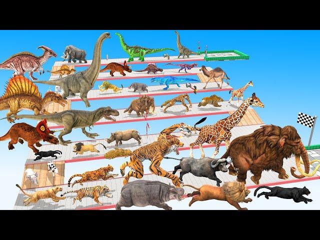 Which Animal vs Dinosaurs vs Mammoth Elephant Speed Race Run Zigzag Down Course! Animal Revolt Battl