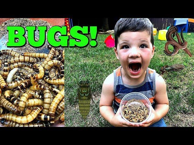 Caleb & Mommy Play Bug Hunt For Super Worms and REAL BUGS OUTSIDE! Pretend Play with Insects!