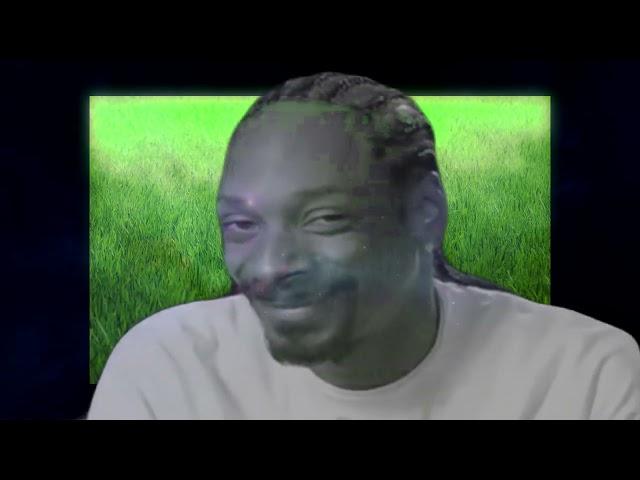 Snoop Dogg в иллюминаторе Mashup (Зеленая трава)