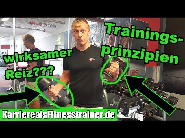 Die 6 wichtigsten Trainingsprinzipien einfach erklärt + persönliche Meinung