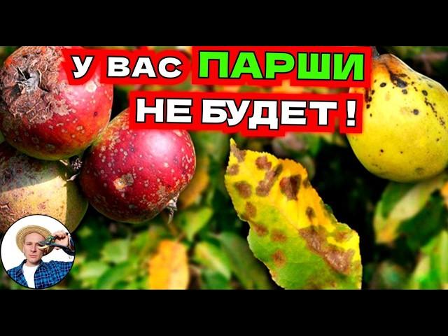 Save the Apple Tree from Scab: Summer Protection Guide!