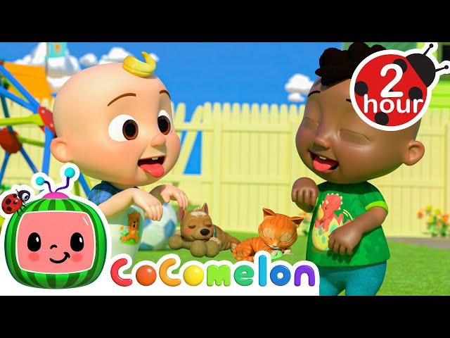 JJ and Cody's Opposite Song | CoComelon It's Cody Time | Nursery Rhymes & Kids Songs | After School