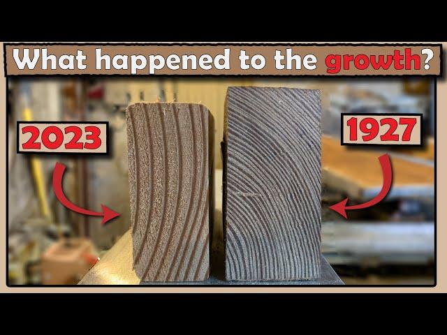 Old vs. New 2 by 4 lumber. What changed?