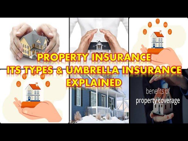 Property Insurance Explained | Types of Property insurance | Know About Umbrella Insurance 2024