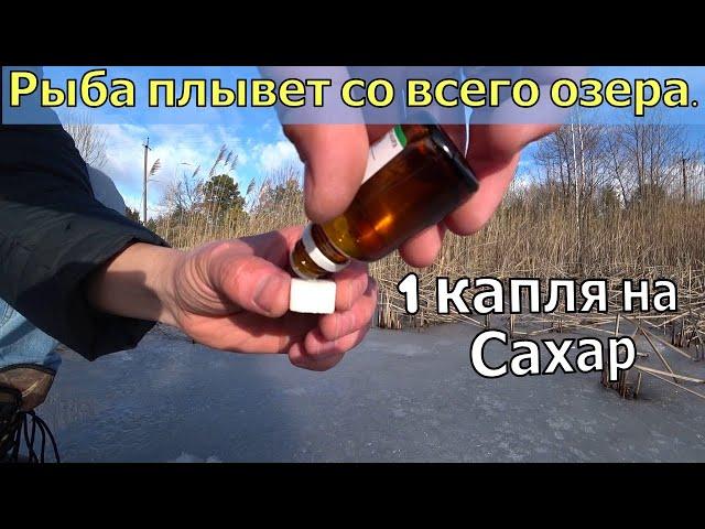 Капаю это аптечное средство на сахар и лунку. Опустил камеру под воду. Прикормка для рыбалки зимой.