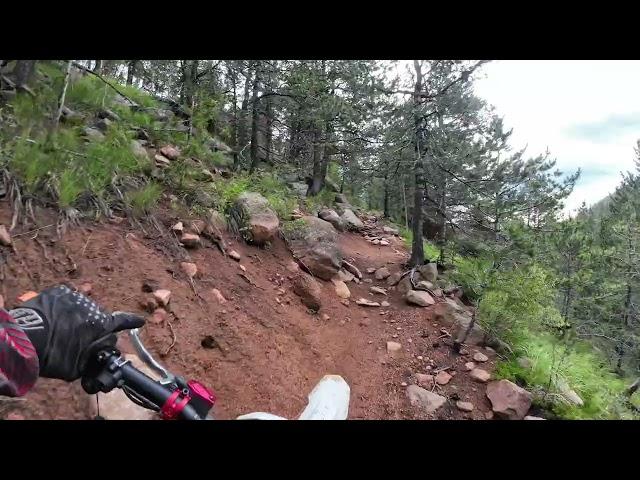 Arctic Leopard EX800 - Short sweat video of an awesome bike!