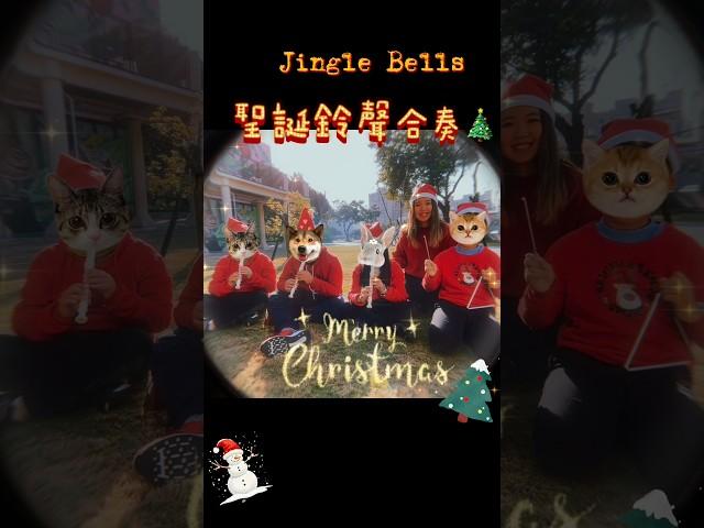 Jingle Bells演奏 音樂技巧不完美，但聖誕氛圍感滿分！#JingleBells #直笛 #國小音樂課  #聖誕音樂 #聖誕合奏#教育  #recorder#christmas