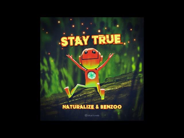 Naturalize & Benzoo - Just Don't - Official