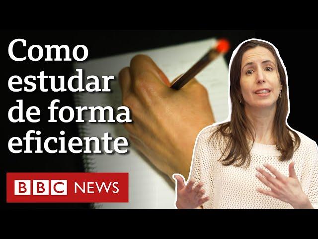 As formas mais eficientes de estudar para prova