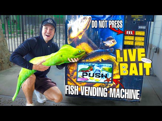 Buying LIVE MORAY EEL From the LIVE FISH VENDING MACHINE... *Do Not Press*