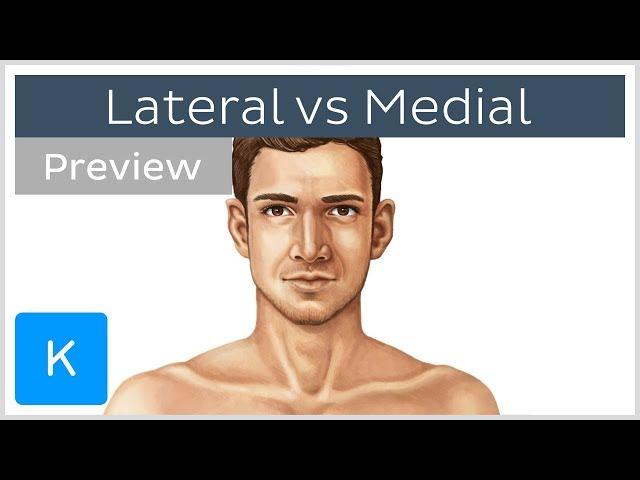 What's the Difference Between Lateral and Medial? (preview) - Human Anatomy | Kenhub