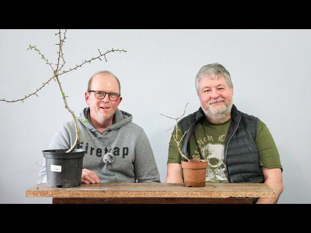 Doing some bonsai with Jason Hanrahan - The Bonsai Garden