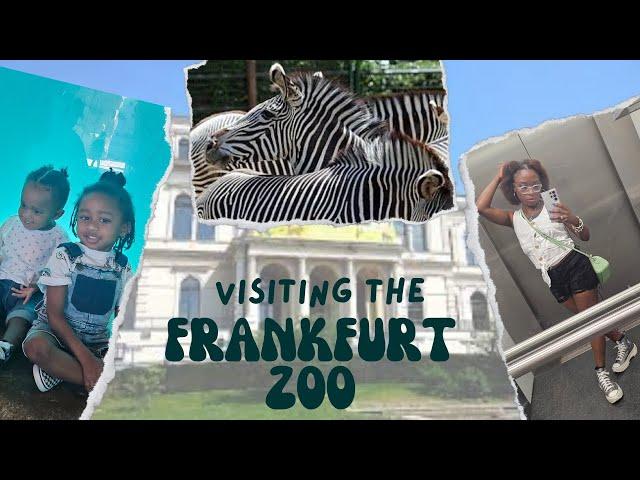 Germany Living| Visiting the Frankfurt Zoo Vlog