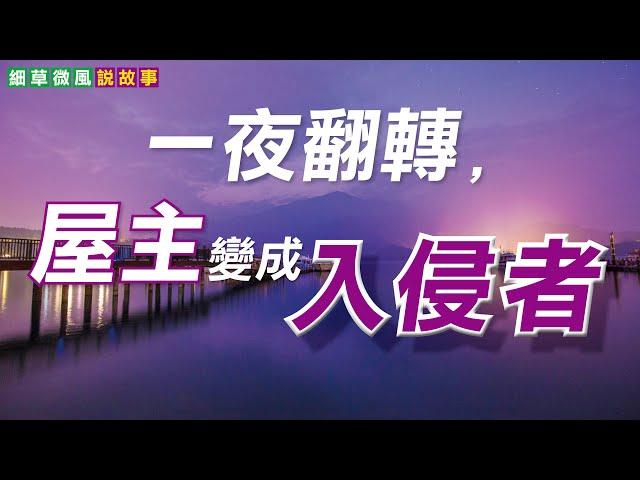 真人真事 |   跨越界限的愛？|  安靜比行動更給力