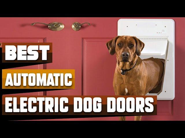 Best Automatic Electric Dog Door In 2024 - Top 10 Automatic Electric Dog Doors Review