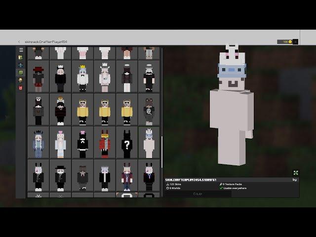 How to get cosmetics in MCPE (PC Only) (2023) WORKS ON 1.20, 1.19, 1.18