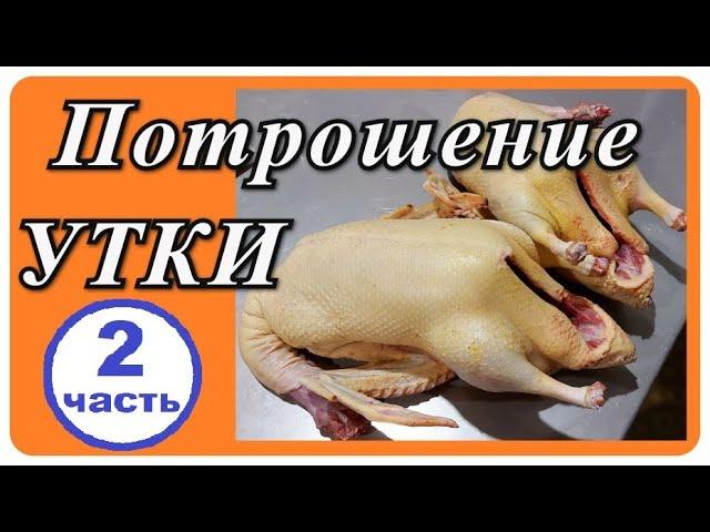 ПОТРОШЕНИЕ УТКИ МУЛАРД. ВЕС ТУШКИ И ПОТРОШКОВ - 2 часть