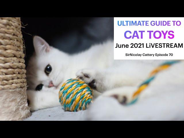 Ultimate Guide to Cat Toys