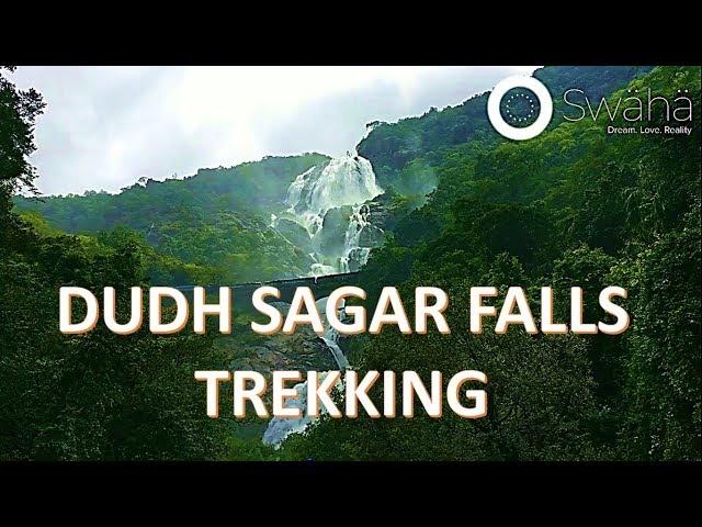 Dudhsagar Waterfall | Sea of Milk | Trekking | India's tallest waterfalls